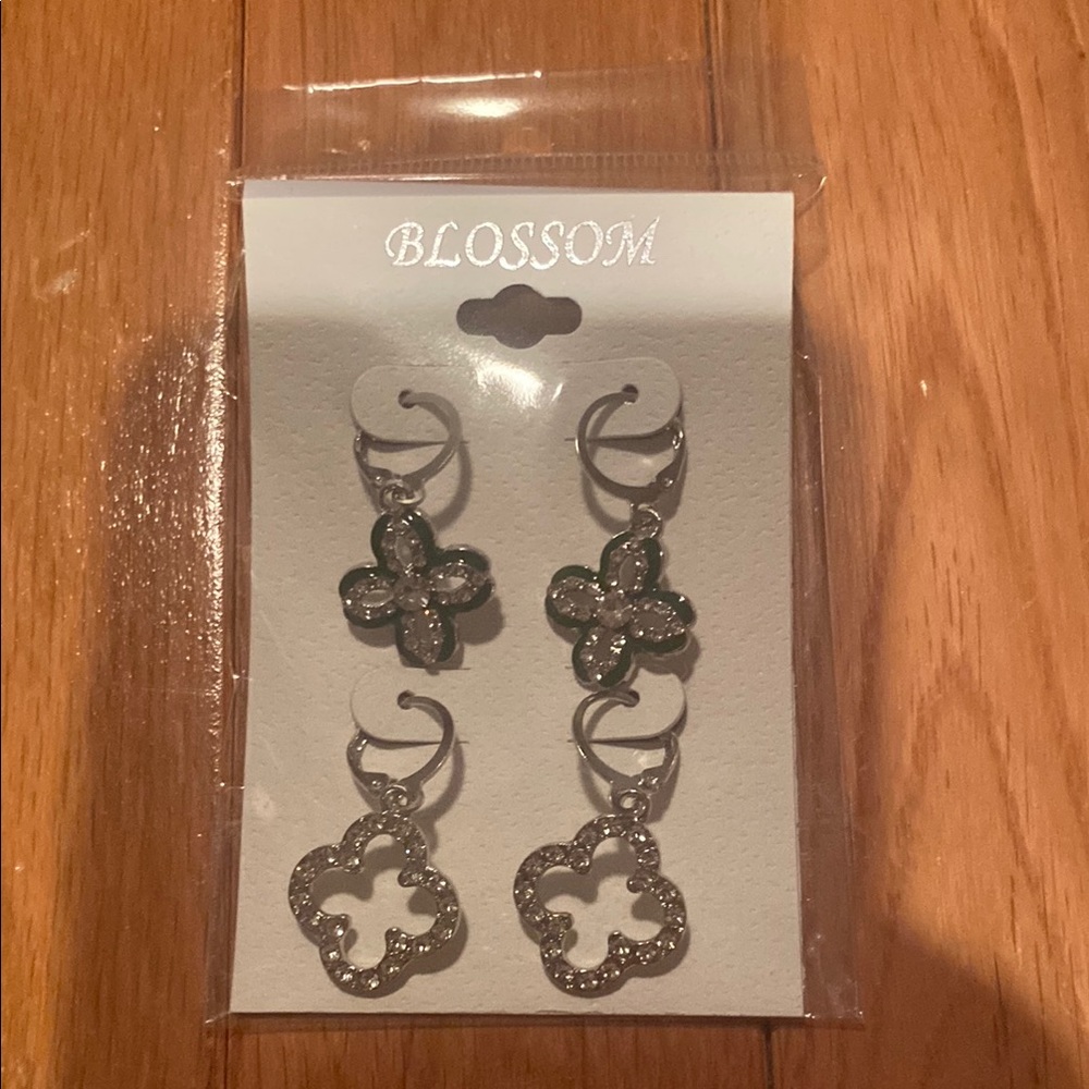 NWT Silver Toned Earrings (2 pairs)